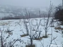 RECO, teren extravilan, Zona Sinteu, Bihor