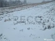 RECO, teren extravilan, Zona Sinteu, Bihor 