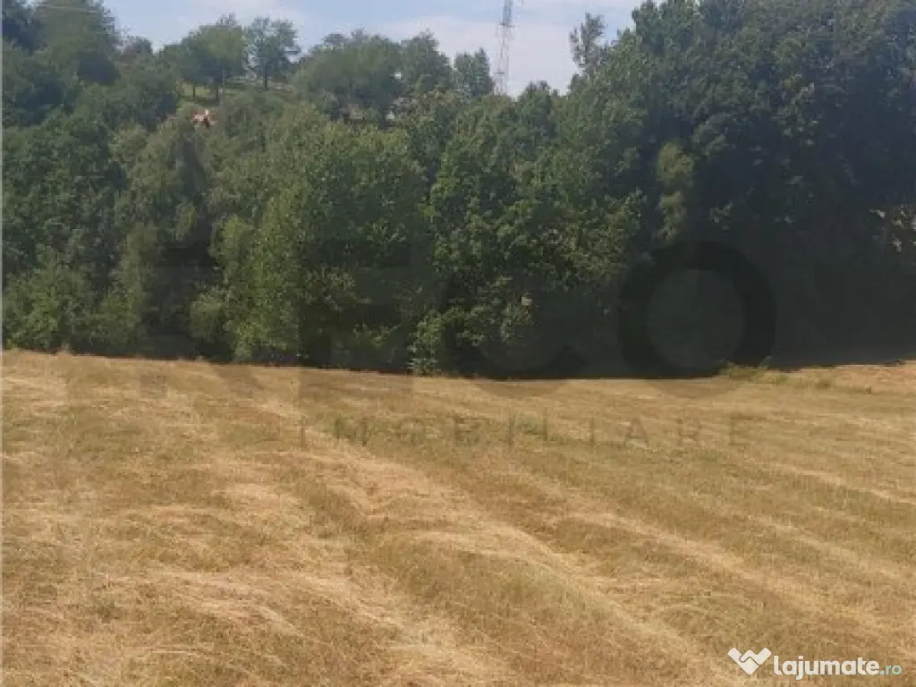 RECO, teren extravilan, Zona Sinteu, Bihor