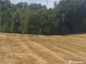 RECO, teren extravilan, Zona Sinteu, Bihor 