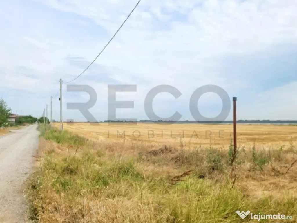 RECO, teren extravilan, Zona Sinteu, Bihor