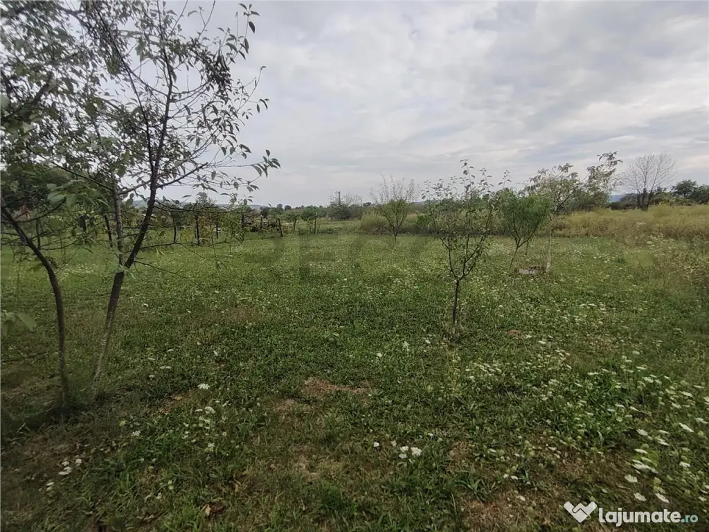 RECO Casa din caramida in Suplacul de Barcau