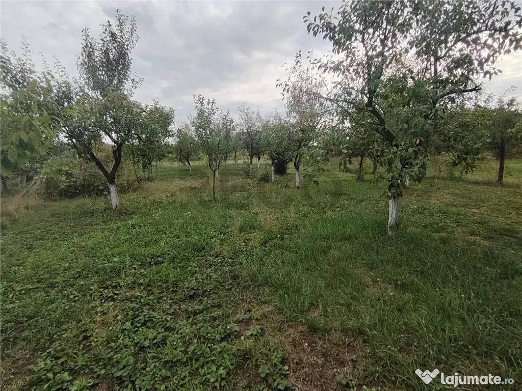 RECO Casa din caramida in Suplacul de Barcau