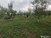 RECO Casa din caramida in Suplacul de Barcau 