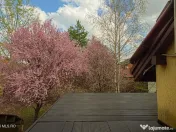 Dumbravita - Str Soarelui - Casa P+1, 3 Camere, Parcare A... 