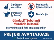Bloc Curat și Sigur pentru Locatari | Curățenie + DDD
