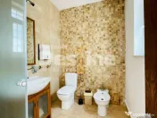 Parcul Carol I Vila de inchiriat pentru birouri 