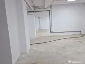 Cismigiu, sp com 386 mp 