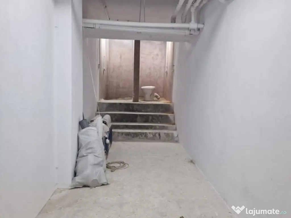 Cismigiu, sp com 386 mp