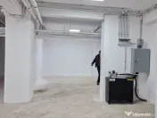 Cismigiu, sp com 386 mp 