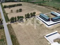 Black Angus Farm with authorized Slaughterhouse