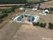 Black Angus Farm with authorized Slaughterhouse 