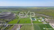 Black Angus Farm with authorized Slaughterhouse 