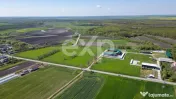 Black Angus Farm with authorized Slaughterhouse 