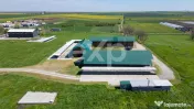 Black Angus Farm with authorized Slaughterhouse 