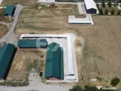 Black Angus Farm with authorized Slaughterhouse 