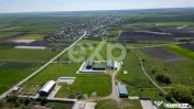 Black Angus Farm with authorized Slaughterhouse