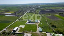 Black Angus Farm with authorized Slaughterhouse