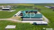 Black Angus Farm with authorized Slaughterhouse