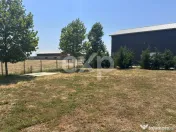 Black Angus Farm with authorized Slaughterhouse 