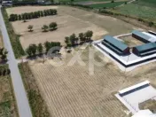 Ferma cu abator autorizat | Singureni Giurgiu 