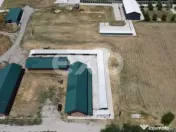 Ferma cu abator autorizat | Singureni Giurgiu 