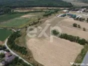 Ferma cu abator autorizat | Singureni Giurgiu 