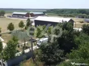 Ferma cu abator autorizat | Singureni Giurgiu 