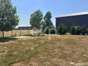 Ferma cu abator autorizat | Singureni Giurgiu 