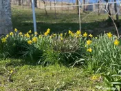 Casa demolabilă cu teren de vanzare in Breaza 