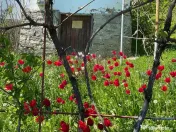 Casa demolabilă cu teren de vanzare in Breaza 