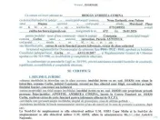 Teren Intravilan Plaja Corbu | 1.064 mp | Ideal Investiție 