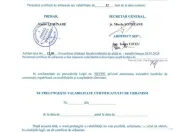 Teren Intravilan Plaja Corbu | 1.064 mp | Ideal Investiție 