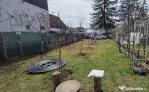 Teren intravilan de vanzare 500 mp in Campina, Oportunitate
