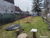 Teren intravilan de vanzare 500 mp in Campina, Oportunitate 