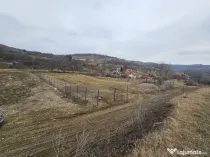 Teren intravilan Hamba