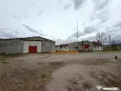HALE INDUSTRIALE | CLADIRE BIROURI | TEREN 7000 MP | GHEGHIE