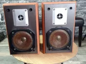 Pereche de Boxe Blue Tech