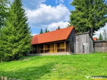 3DFILM! Casa de vacanta rustica, panorama superba,Santimbru