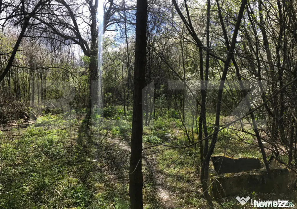 ???? Teren intravilan 3.400 mp cu potențial excelent de par
