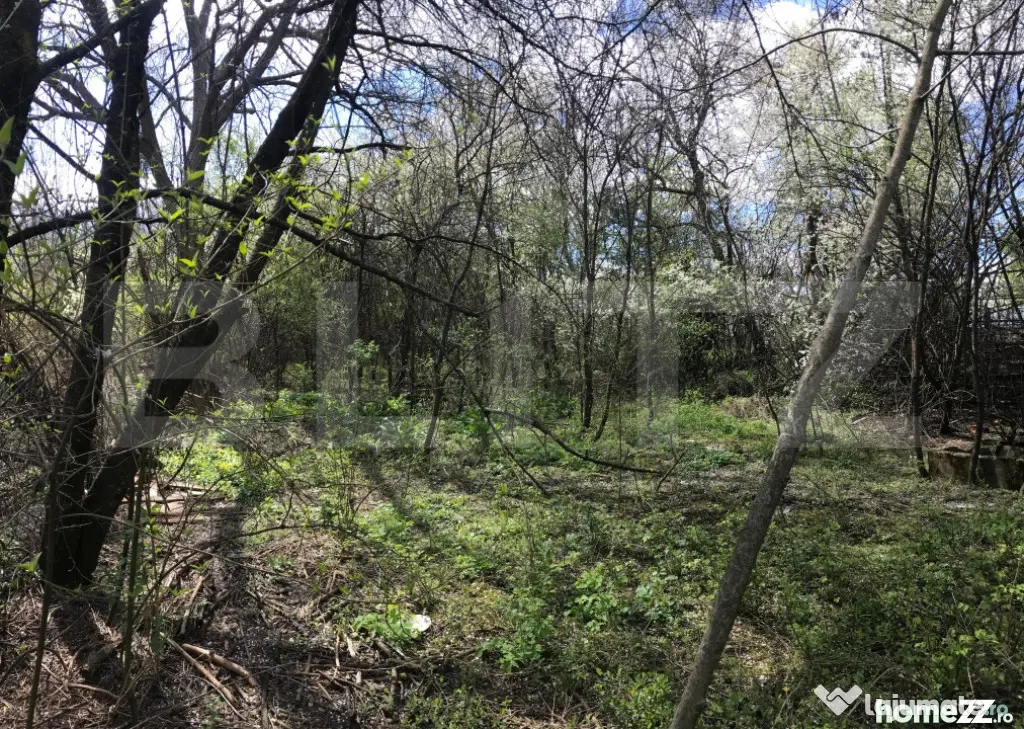 ???? Teren intravilan 3.400 mp cu potențial excelent de par