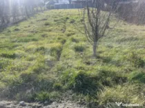 Teren intravilan de vanzare, 1.265 mp - Zalau