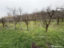 Teren intravilan de vanzare, 1.265 mp - Zalau