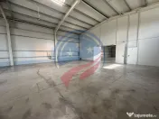 Hala in zona FORD 300-600 mp 