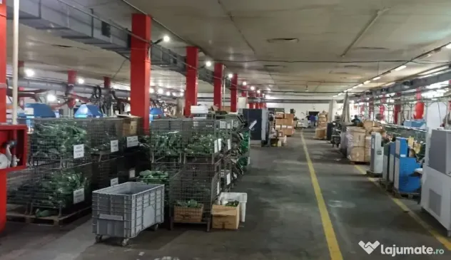 Inchiriez complex comercial in Husi, Jud. Vaslui ID:RH-44580-property