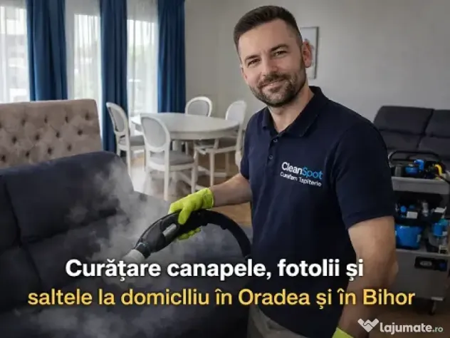 Spalatorie Tapiterie canapele, saltele, detailing Auto.Oradea