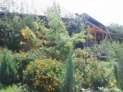 Intravilan 572 mp , loc de casa , zona padure Baicoi Prahova 