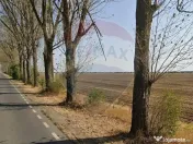 Teren industrial 7.9 ha, Afumati, deschidere 120m, Soseau... 