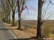 Teren industrial 7.9 ha, Afumati, deschidere 120m, Soseau... 