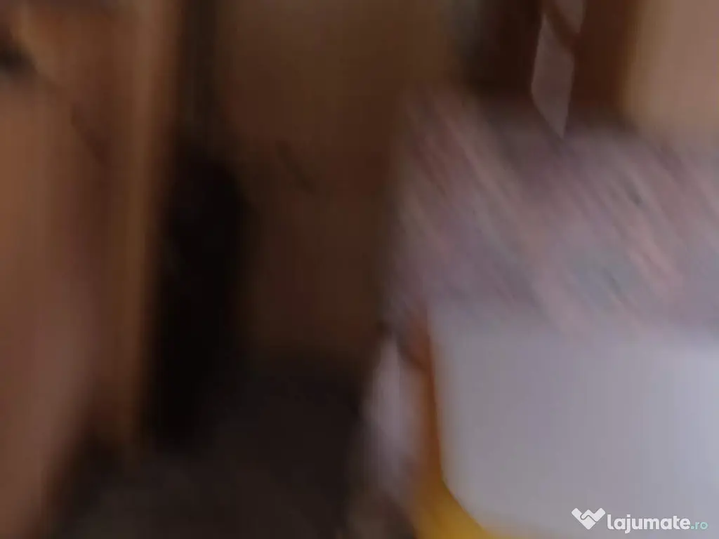 Spre vanzare Autorulota Fiat Wohnmobil